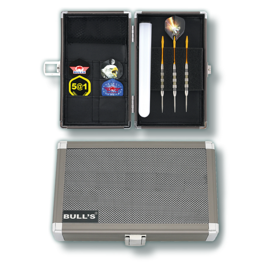 BULL'S Dartsafe Aluminium Case